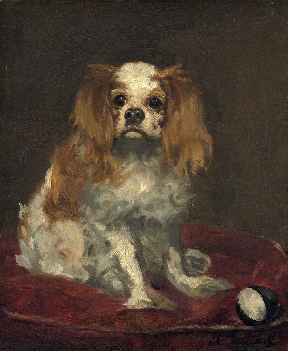 Mary Queen of Scots King Charles Cavalier